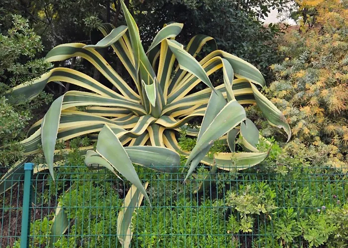 4 Personnes Dans Domaine Prive, Calme, Apartamento